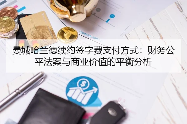 man-cheng-ha-lan-de-xu-yue-qian-zi-fei-zhi-fu-fang-shi-cai-wu-gong-ping-fa-an-yu-shang-ye-jia-zhi-de-ping-heng-fen-xi-2-786.jpg